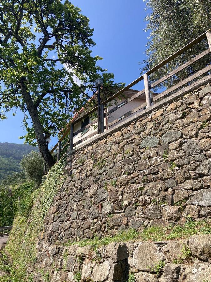 Villa La Casa Di Amelia Borzonasca Exterior foto